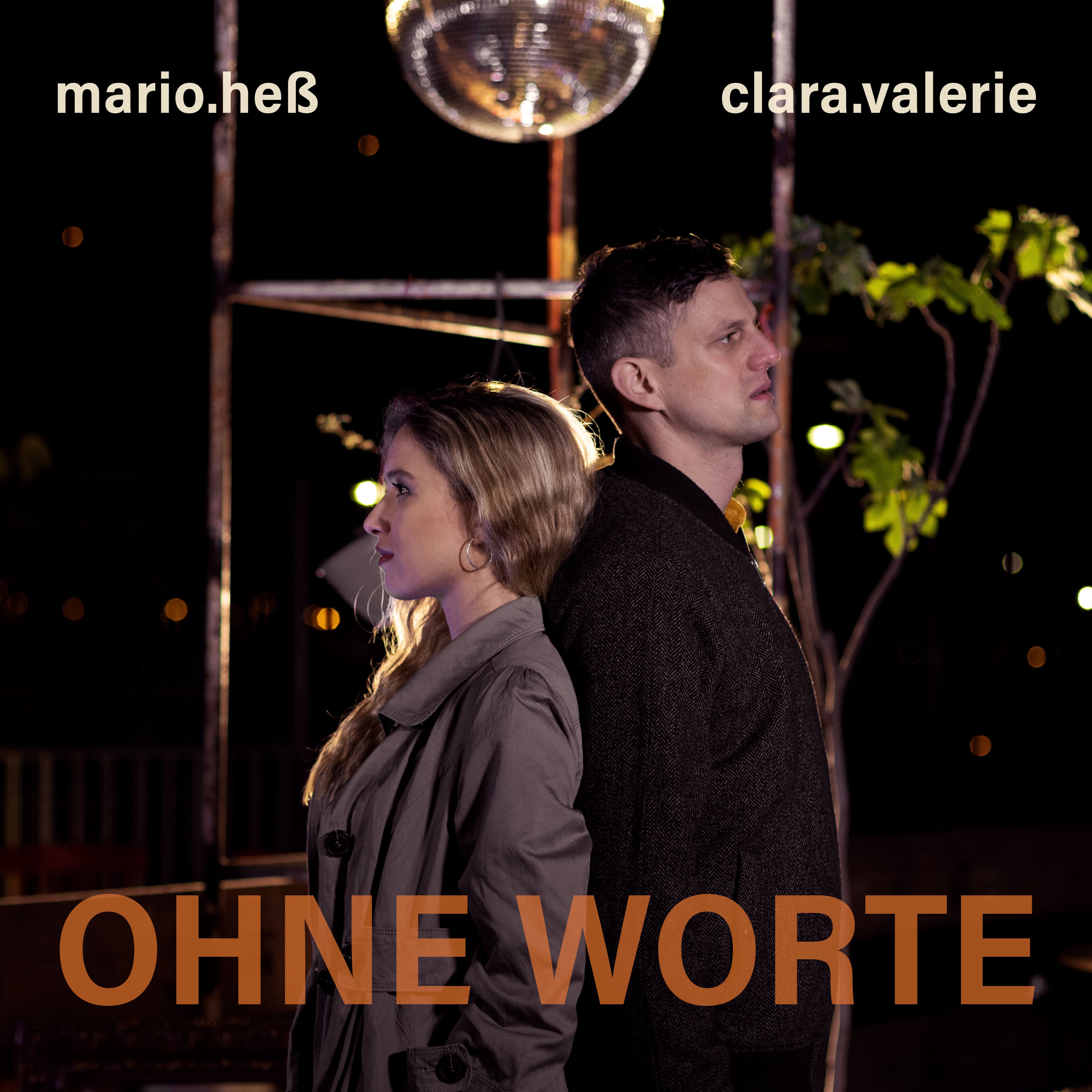 Cover Ohne Worte FINAL 2